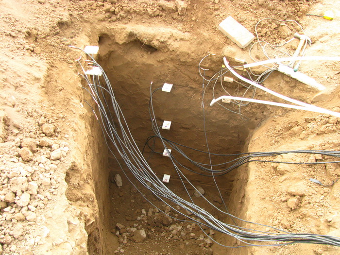 日出水了特别黄的视频