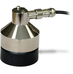 日出水了特别黄的视频