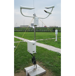 日出水了特别黄的视频