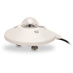 日出水了特别黄的视频