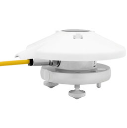 日出水了特别黄的视频