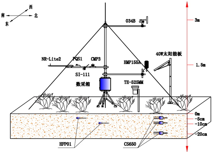 日出水了特别黄的视频