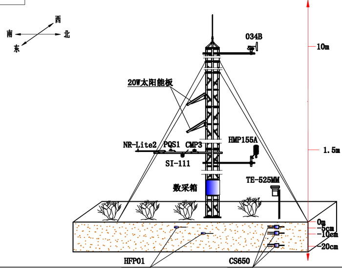 日出水了特别黄的视频