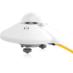 日出水了特别黄的视频