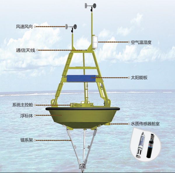 日出水了特别黄的视频