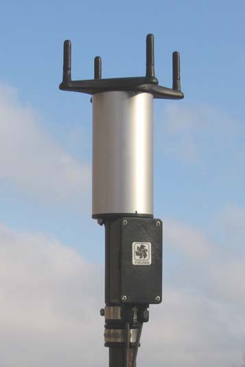 日出水了特别黄的视频