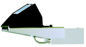 日出水了特别黄的视频