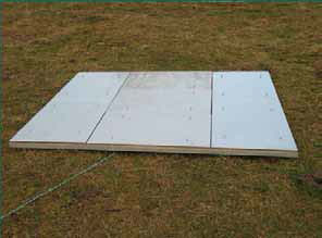 日出水了特别黄的视频