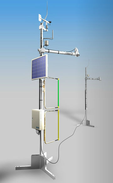 日出水了特别黄的视频