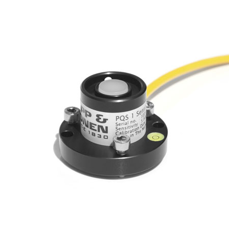 日出水了特别黄的视频