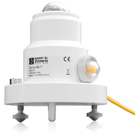 日出水了特别黄的视频