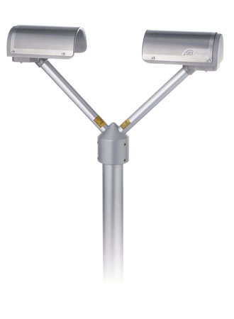 日出水了特别黄的视频