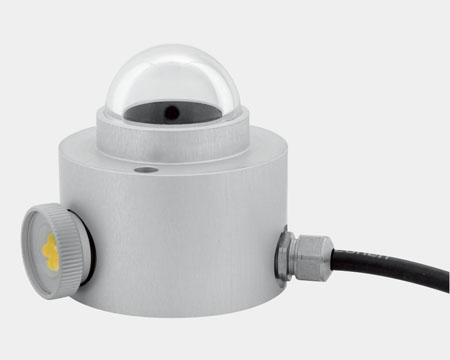 日出水了特别黄的视频