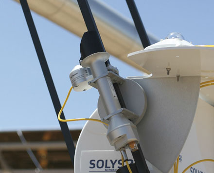 日出水了特别黄的视频