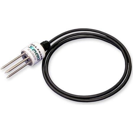 日出水了特别黄的视频