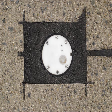 日出水了特别黄的视频