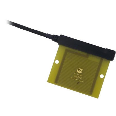 日出水了特别黄的视频