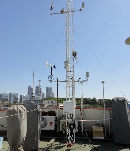 日出水了特别黄的视频