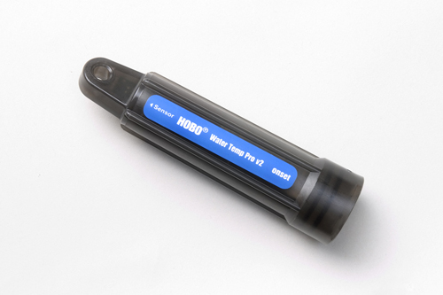 日出水了特别黄的视频