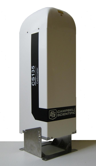 日出水了特别黄的视频