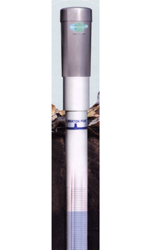 日出水了特别黄的视频