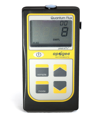 日出水了特别黄的视频