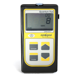 日出水了特别黄的视频