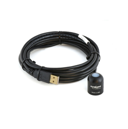 日出水了特别黄的视频