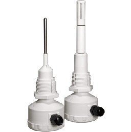 日出水了特别黄的视频