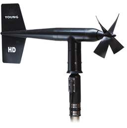 日出水了特别黄的视频