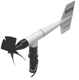 日出水了特别黄的视频