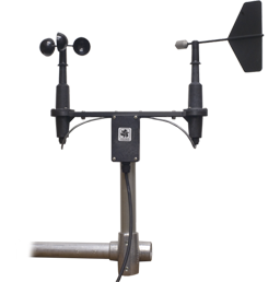 日出水了特别黄的视频