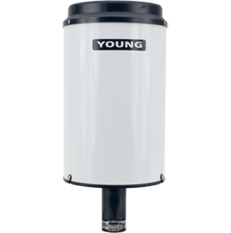 日出水了特别黄的视频