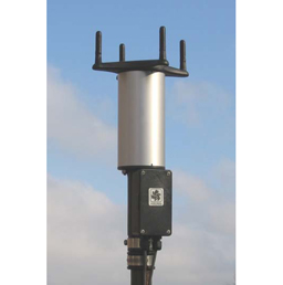 日出水了特别黄的视频