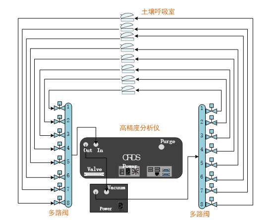 日出水了特别黄的视频