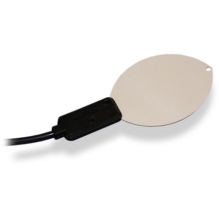 日出水了特别黄的视频