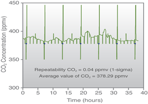 日出水了特别黄的视频