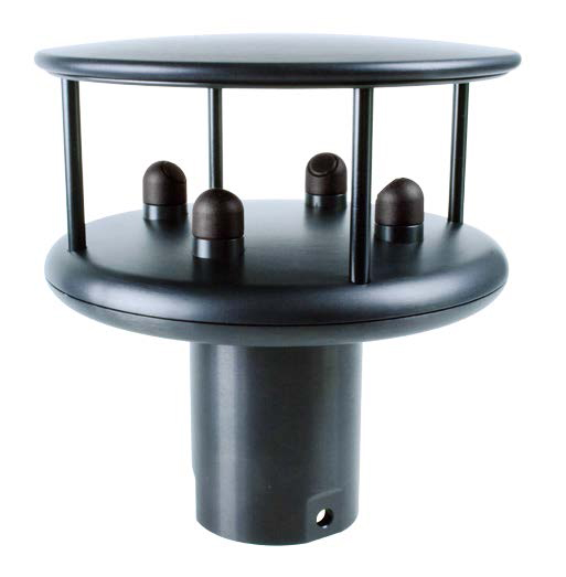 日出水了特别黄的视频