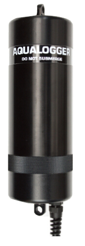 日出水了特别黄的视频