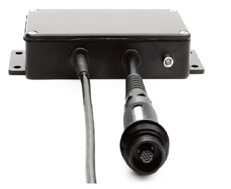 日出水了特别黄的视频