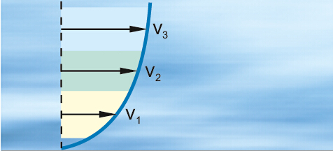 日出水了特别黄的视频