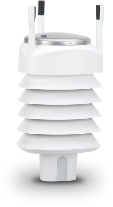 日出水了特别黄的视频