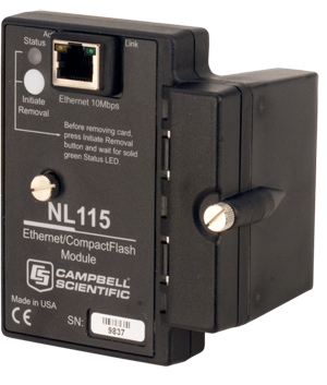 日出水了特别黄的视频