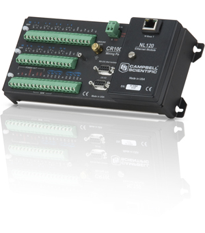 日出水了特别黄的视频