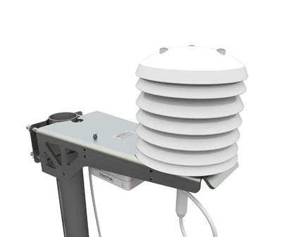 日出水了特别黄的视频