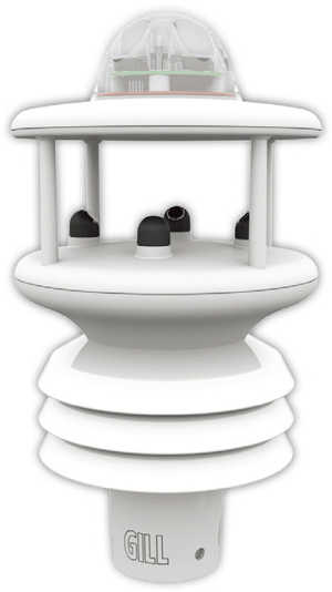 日出水了特别黄的视频