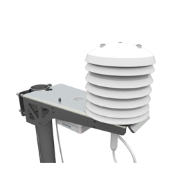 日出水了特别黄的视频