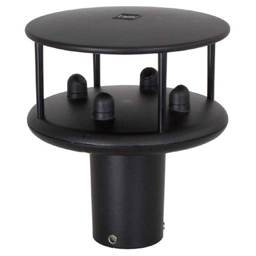 日出水了特别黄的视频