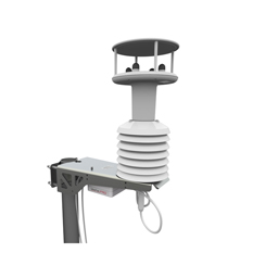 日出水了特别黄的视频