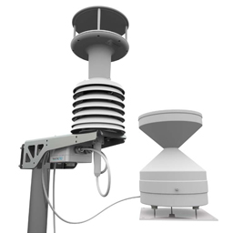 日出水了特别黄的视频